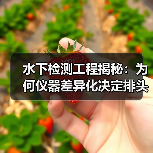 水下检测工程揭秘:为何仪器差异化决定排头兵位置?(图3) 水下检测工程揭秘:为何仪器差异化决定排头兵位置?(图3)
