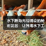水下跨海光缆铺设的秘密武器：让跨海水下工程防护更差异化（图2）