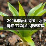 2026年最全揭秘:水下拆除工程中的爆破差异化与创新应用(图3) 2026年最全揭秘:水下拆除工程中的爆破差异化与创新应用(图3)