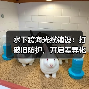 水下跨海光缆铺设:打破旧防护,开启差异化未来(图2) 水下跨海光缆铺设:打破旧防护,开启差异化未来(图2)