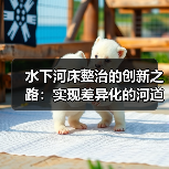 水下河床整治的创新之路：实现差异化的河道修复奇迹（图1）