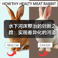 水下河床整治的创新之路：实现差异化的河道修复奇迹（图4）