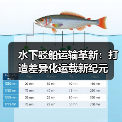 水下驳船运输革新:打造差异化运载新纪元(图2) 水下驳船运输革新:打造差异化运载新纪元(图2)