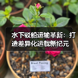 水下驳船运输革新:打造差异化运载新纪元(图1) 水下驳船运输革新:打造差异化运载新纪元(图1)