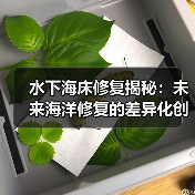 水下海床修复揭秘：未来海洋修复的差异化创新之路（图1）
