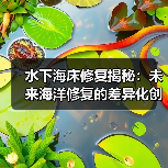 水下海床修复揭秘：未来海洋修复的差异化创新之路（图3）