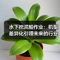 水下挖泥船作业：机型差异化引领未来的行业新格局（图4）