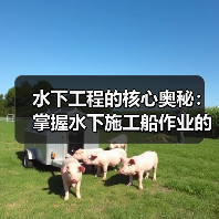 水下工程的核心奥秘:掌握水下施工船作业的差异化竞争(图1) 水下工程的核心奥秘:掌握水下施工船作业的差异化竞争(图1)