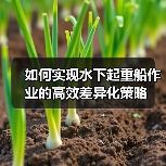 如何实现水下起重船作业的高效差异化策略（图2）