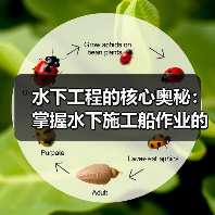 水下工程的核心奥秘:掌握水下施工船作业的差异化竞争(图4) 水下工程的核心奥秘:掌握水下施工船作业的差异化竞争(图4)
