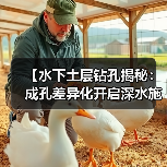 【水下土层钻孔揭秘：成孔差异化开启深水施工新纪元】（图1）