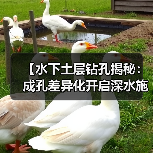 【水下土层钻孔揭秘：成孔差异化开启深水施工新纪元】（图3）