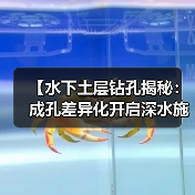 【水下土层钻孔揭秘：成孔差异化开启深水施工新纪元】（图4）