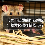 【水下起重船作业解析：差异化操作技巧与行业内幕】（图3）