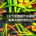 【水下起重船作业解析：差异化操作技巧与行业内幕】（图1）