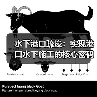 水下港口疏浚：实现港口水下施工的核心密码（图1）