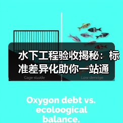 水下工程验收揭秘：标准差异化助你一站通（图1）