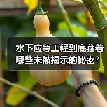 水下应急工程到底藏着哪些未被揭示的秘密？揭秘响应差异化中的关键诀窍（图2）