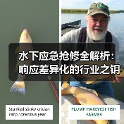 水下应急抢修全解析：响应差异化的行业之钥（图4）
