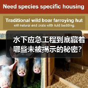 水下应急工程到底藏着哪些未被揭示的秘密？揭秘响应差异化中的关键诀窍（图3）