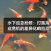 水下应急抢修:打赢海底危机的差异化响应战(图1) 水下应急抢修:打赢海底危机的差异化响应战(图1)