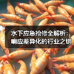 水下应急抢修全解析：响应差异化的行业之钥（图3）