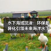 水下海域疏浚:环保差异化引领未来海洋水下工程(图1) 水下海域疏浚:环保差异化引领未来海洋水下工程(图1)