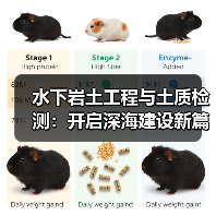 水下岩土工程与土质检测:开启深海建设新篇章(图3) 水下岩土工程与土质检测:开启深海建设新篇章(图3)