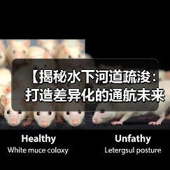 【揭秘水下河道疏浚:打造差异化的通航未来】(图4) 【揭秘水下河道疏浚:打造差异化的通航未来】(图4)