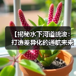 【揭秘水下河道疏浚:打造差异化的通航未来】(图2) 【揭秘水下河道疏浚:打造差异化的通航未来】(图2)