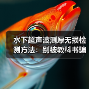 水下超声波测厚无损检测方法:别被教科书骗了。(图4) 水下超声波测厚无损检测方法:别被教科书骗了。(图4)