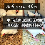 水下超声波测厚无损检测方法:别被教科书骗了。(图2) 水下超声波测厚无损检测方法:别被教科书骗了。(图2)
