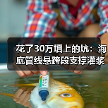 花了30万填上的坑：海底管线悬跨段支撑灌浆加固技术，你真的懂吗？（图2）