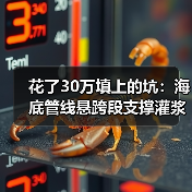 花了30万填上的坑：海底管线悬跨段支撑灌浆加固技术，你真的懂吗？（图4）