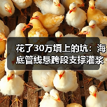 花了30万填上的坑：海底管线悬跨段支撑灌浆加固技术，你真的懂吗？（图1）