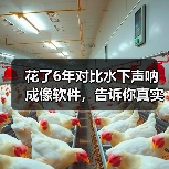 花了6年对比水下声呐成像软件,告诉你真实答案(图2) 花了6年对比水下声呐成像软件,告诉你真实答案(图2)