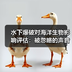 水下爆破对海洋生物影响评估:被忽略的声音与距离(图1) 水下爆破对海洋生物影响评估:被忽略的声音与距离(图1)