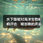 水下爆破对海洋生物影响评估:被忽略的声音与距离(图3) 水下爆破对海洋生物影响评估:被忽略的声音与距离(图3)