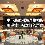 水下爆破对海洋生物影响评估:被忽略的声音与距离(图2) 水下爆破对海洋生物影响评估:被忽略的声音与距离(图2)