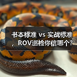 书本标准 vs 实战标准，ROV巡检你信哪个？（图4）