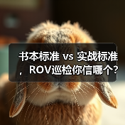 书本标准 vs 实战标准，ROV巡检你信哪个？（图1）