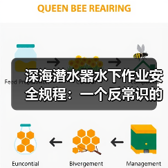 深海潜水器水下作业安全规程：一个反常识的观察（图2）