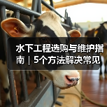 水下工程选购与维护指南|5个方法解决常见问题(图1) 水下工程选购与维护指南|5个方法解决常见问题(图1)