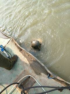 揭秘取水头安装的攻坚之路(图1)