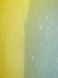 水下摄像揭秘(图1)